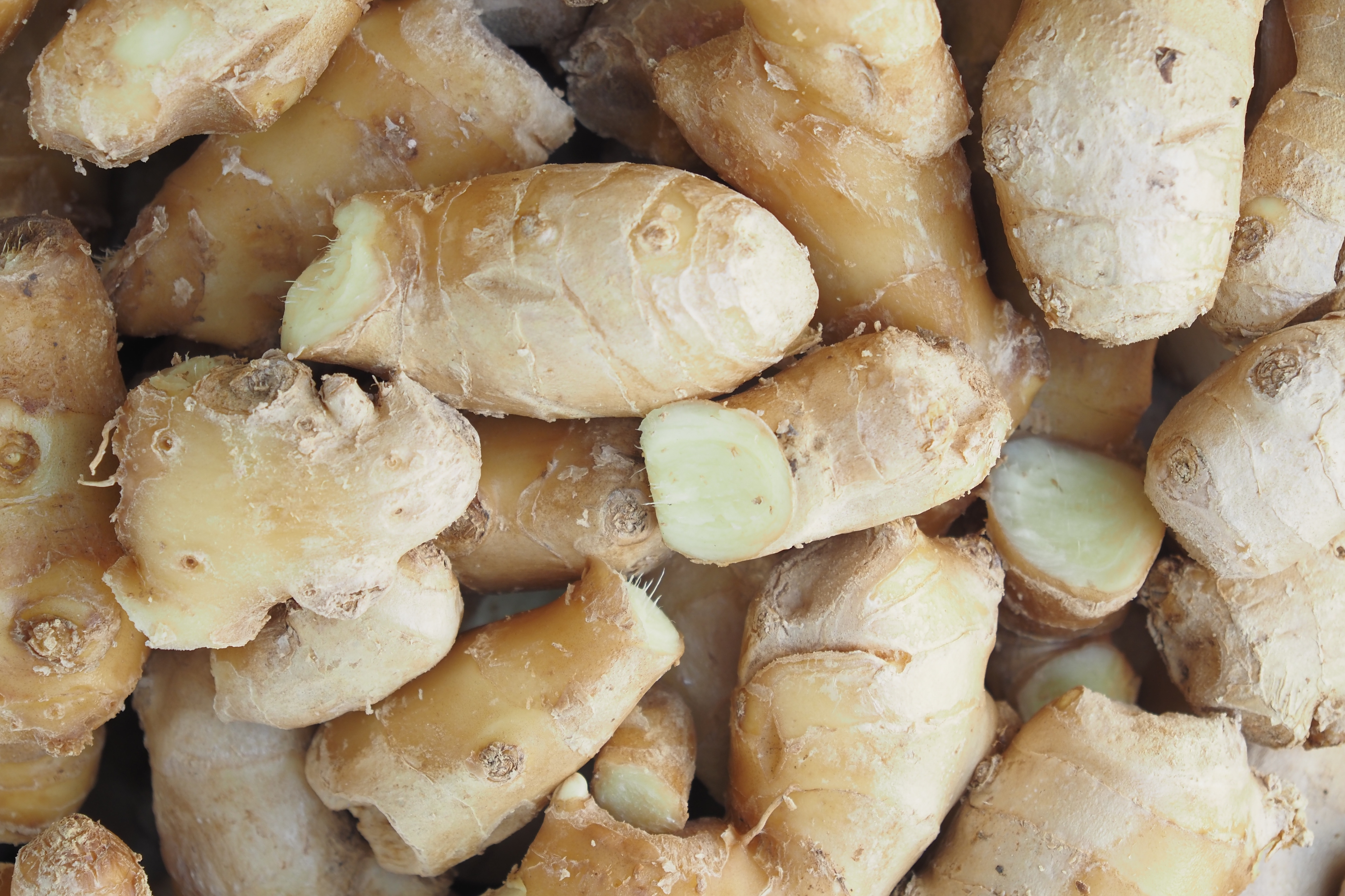 Ginger Root
